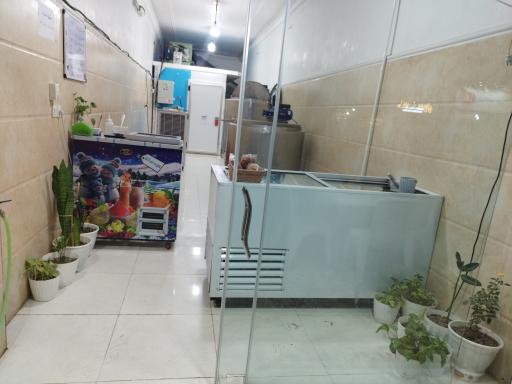 عکس فالوده بستنی بهار نارنج 