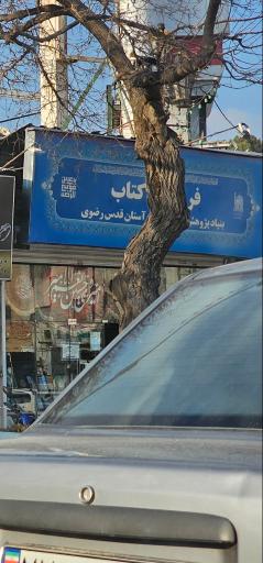 عکس فروشگاه کتاب