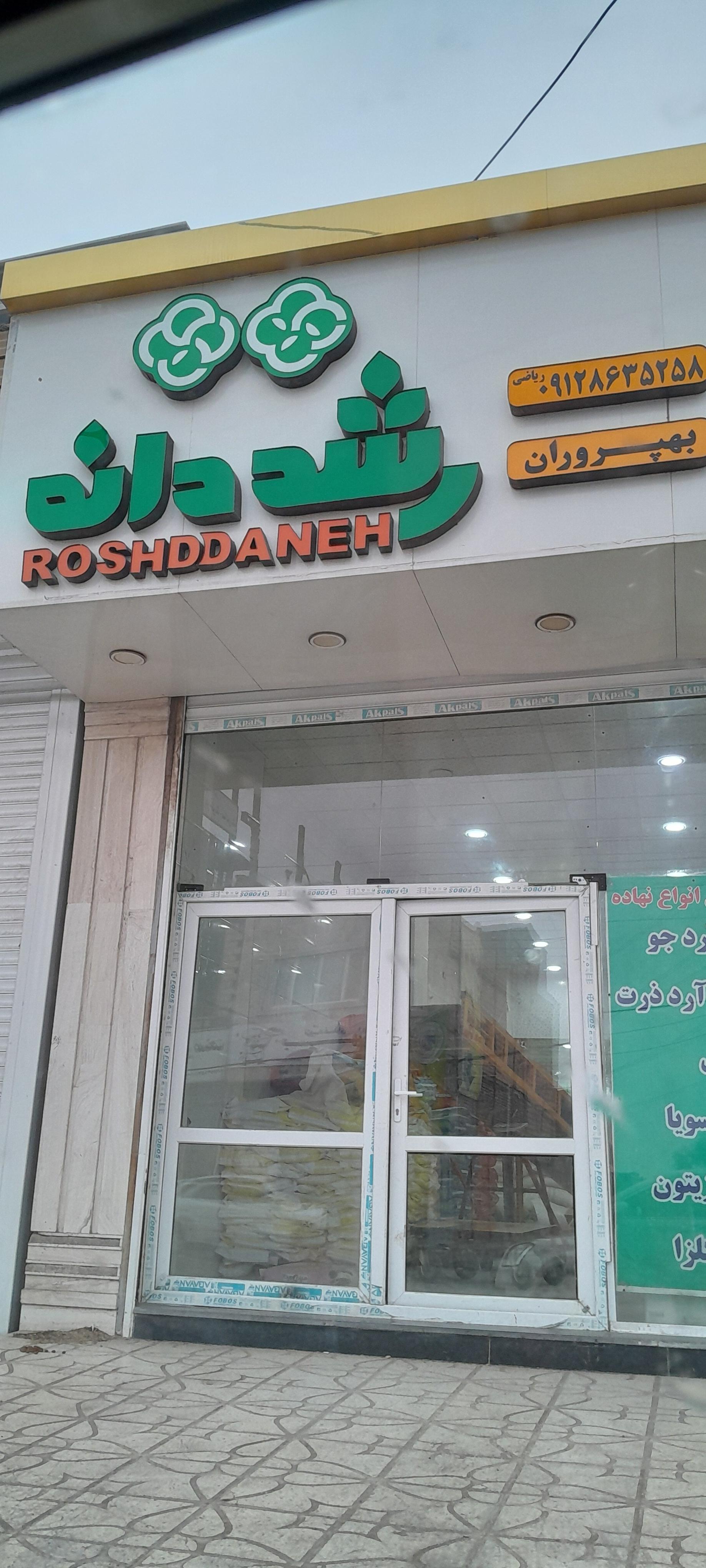 عکس رشد دانه