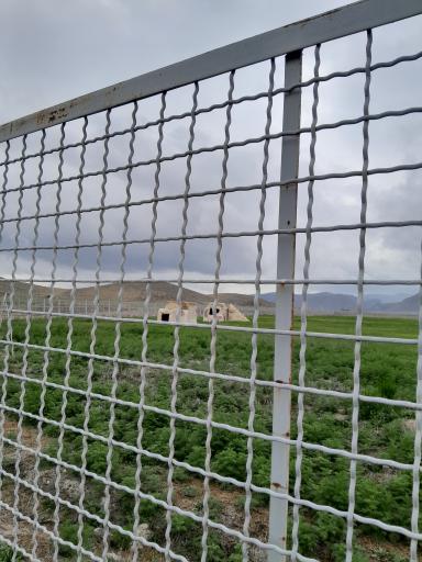 عکس مادر سلیمان