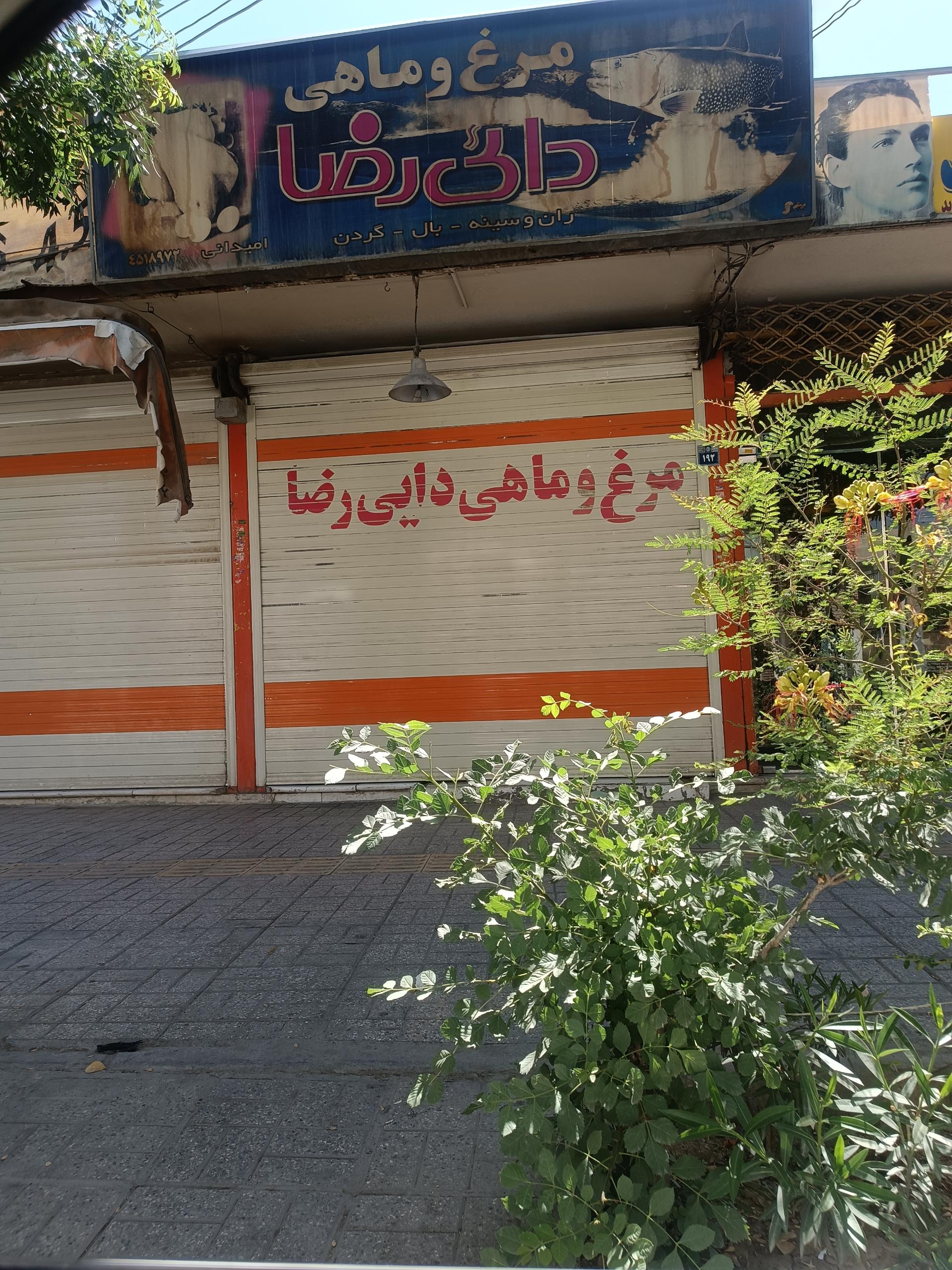 عکس مرغ و ماهی دایی رضا