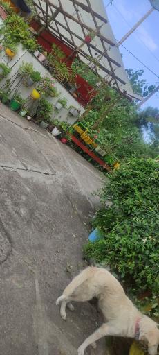 عکس کافه رستوران ستاره