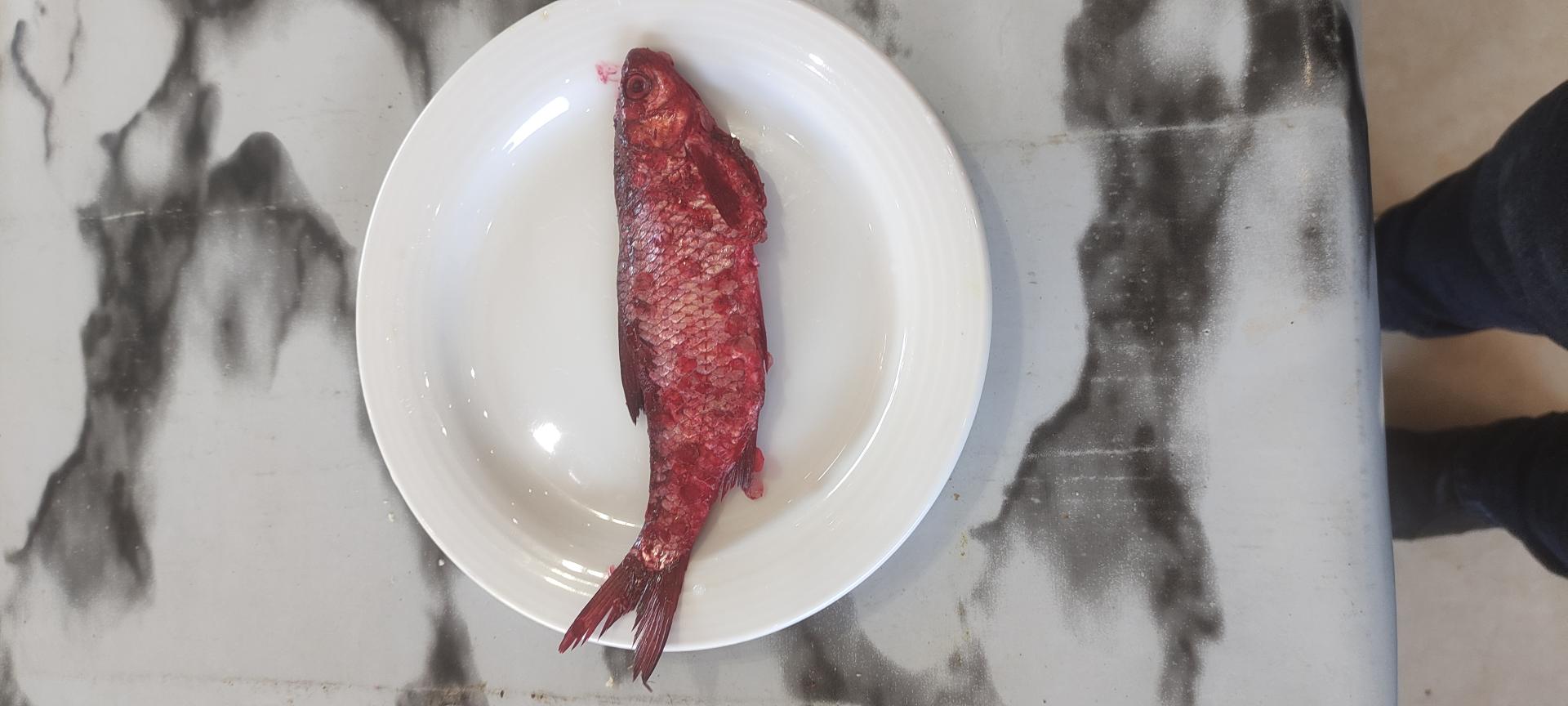 عکس کافه رستوران ستاره