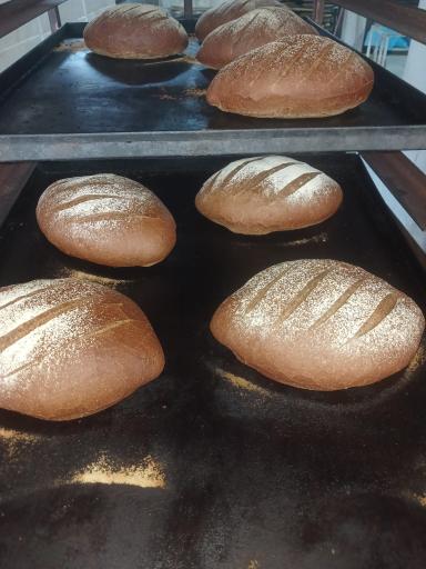 عکس نان فانتزی پدر و پسر