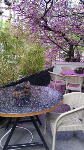 عکس کافه شهر کتاب فرشته