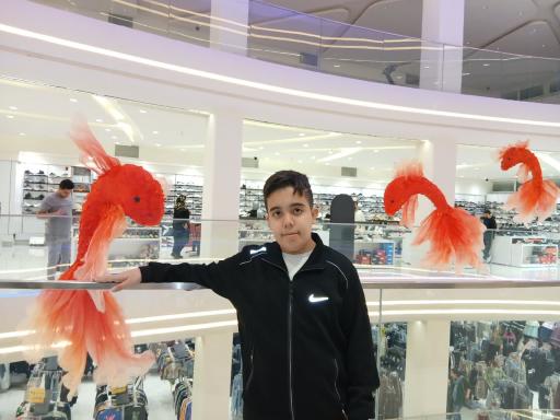 عکس فروشگاه بزرگ ایرانیان