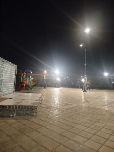 زائر سرای رضوی