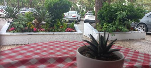 عکس کافه راک