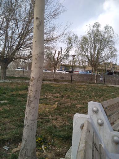 عکس پارک ساحلی کرافشان