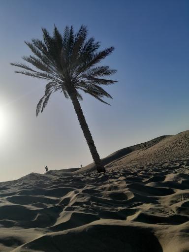 عکس ساحل درک