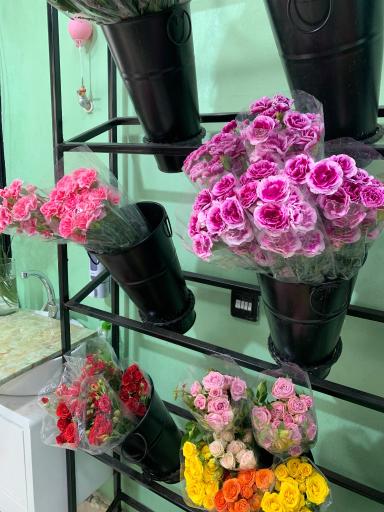 عکس گلفروشی تارگل