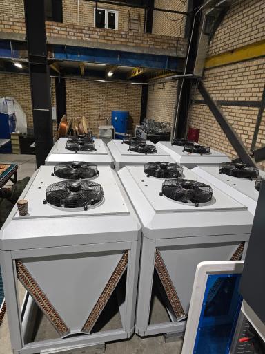 عکس الیما کول 