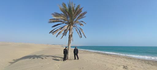 عکس ساحل درک