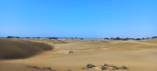 عکس ساحل درک