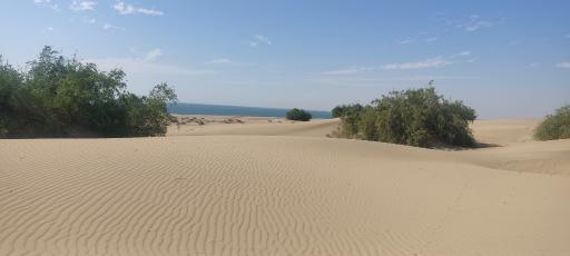 عکس ساحل درک