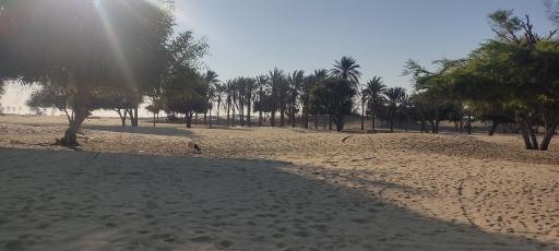 عکس ساحل درک