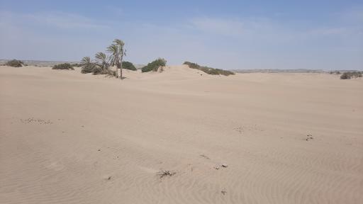 عکس ساحل درک