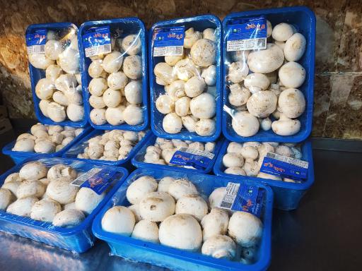 عکس فست فود سوشیانت