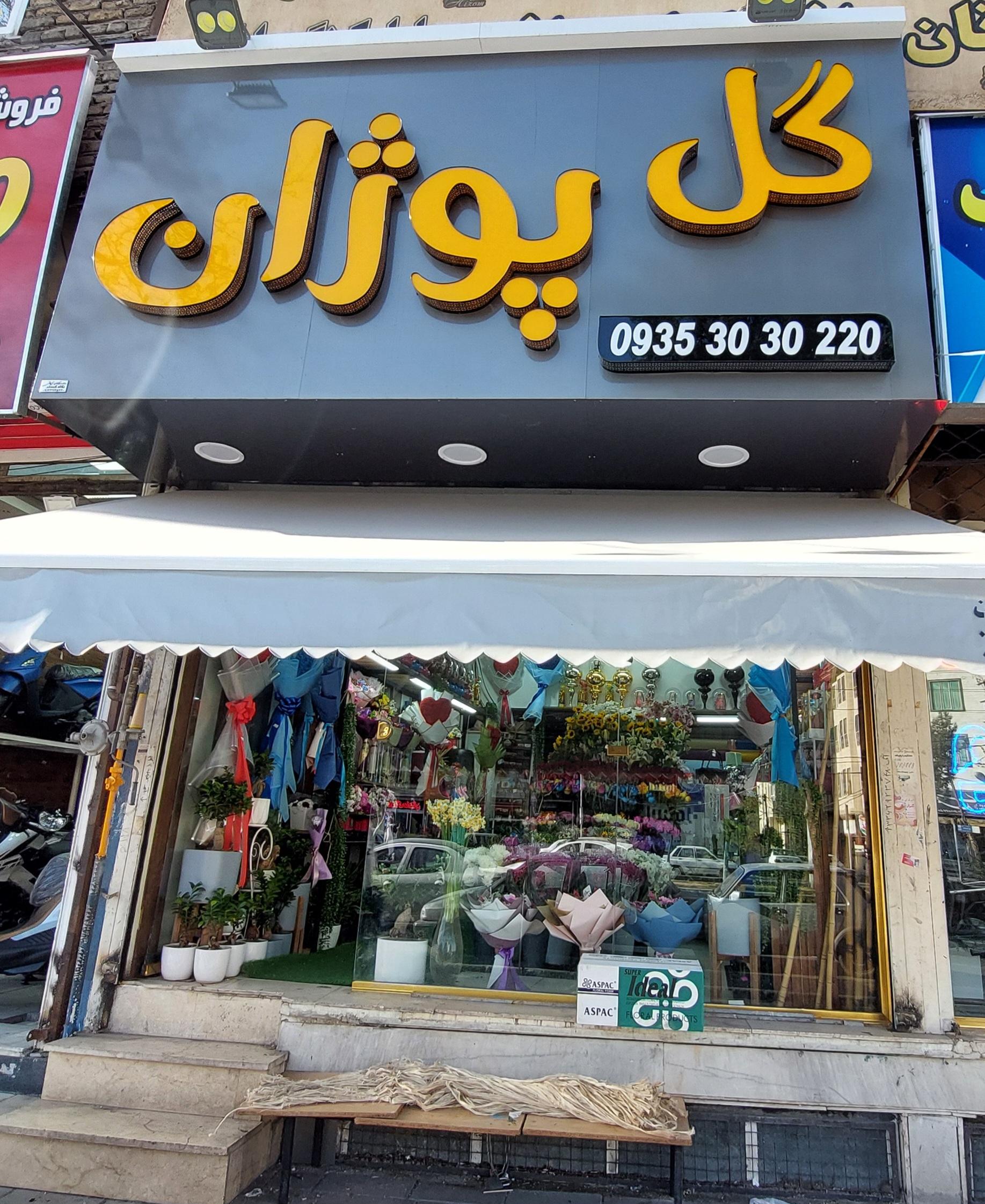 عکس گل پوژان