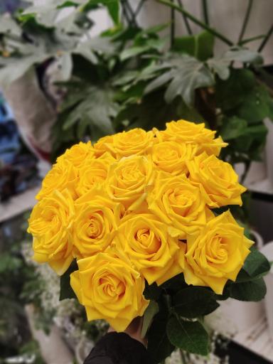 عکس گل فروشی محراب