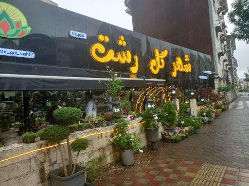 عکس شهر گل رشت