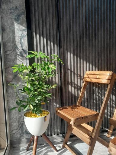 عکس کافه دیدار 