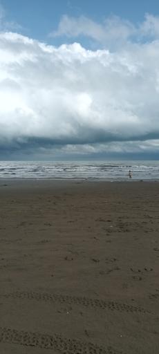 عکس پارک نوار ساحلی 