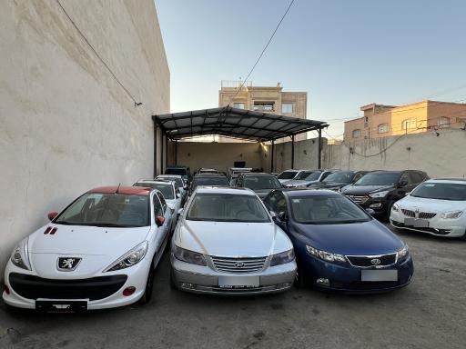 عکس اتو مجتبی شاکریان