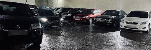 عکس اتو مجتبی شاکریان