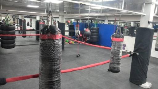 عکس مجموعه ورزشی المپیک