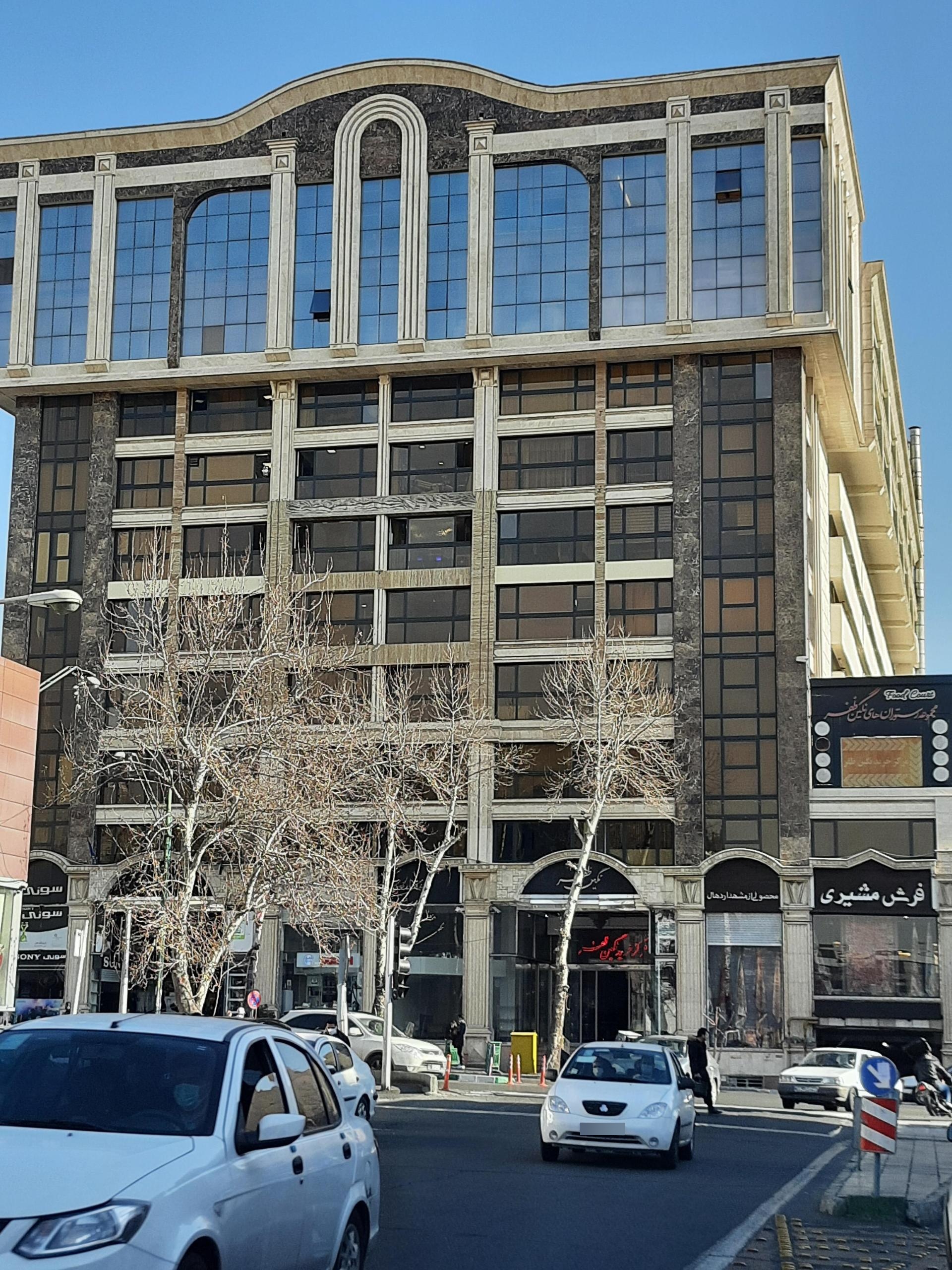 عکس ترمیم مو پروتز ارکاهیر