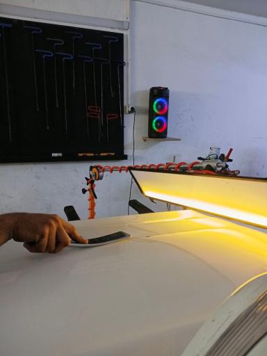 عکس صافکاری اژدری