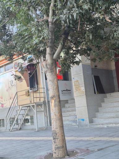 عکس خودپرداز بانک گردشگری