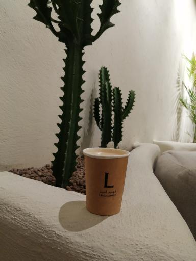 عکس کافه لمیز