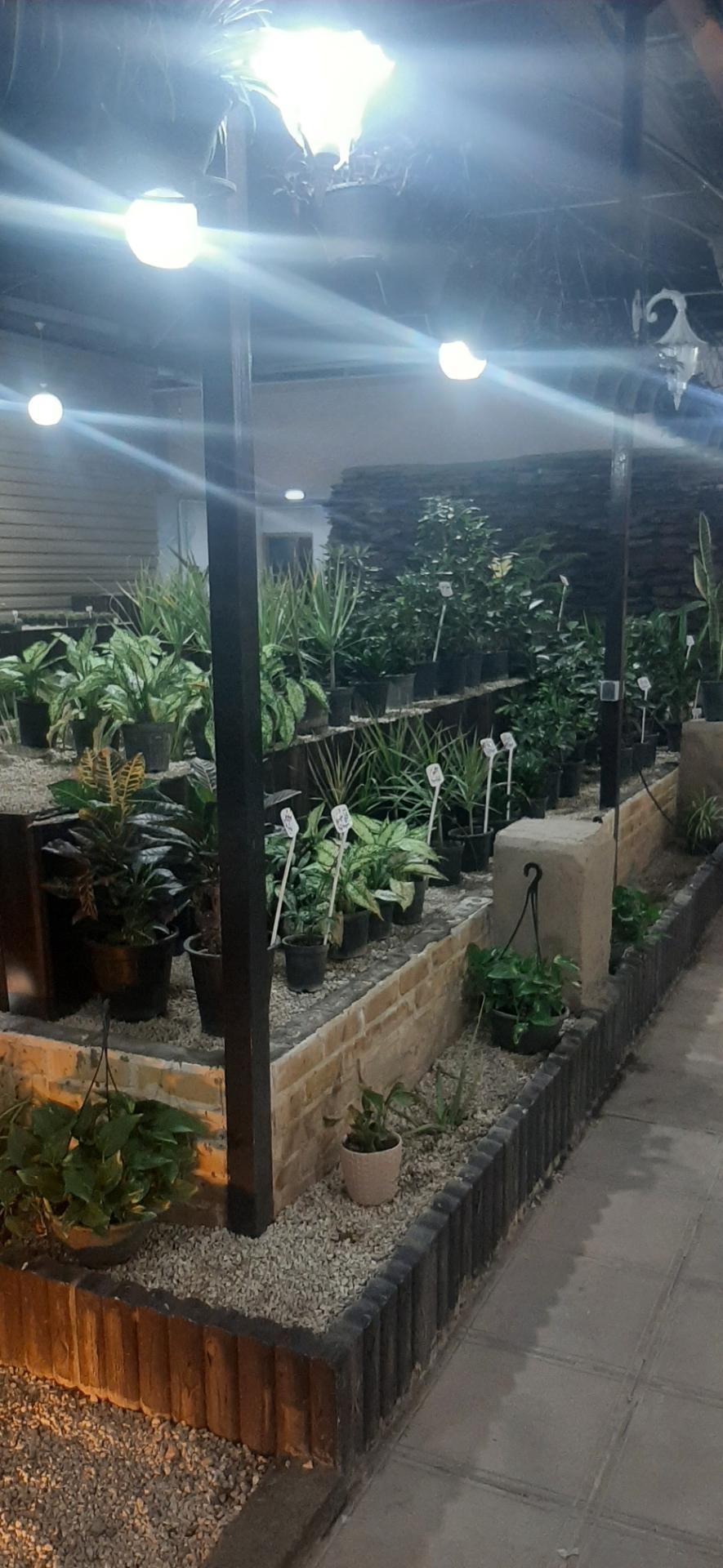 عکس گل فروشی ((شهرگل))