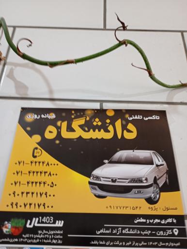 عکس تاکسی دانشگاه 