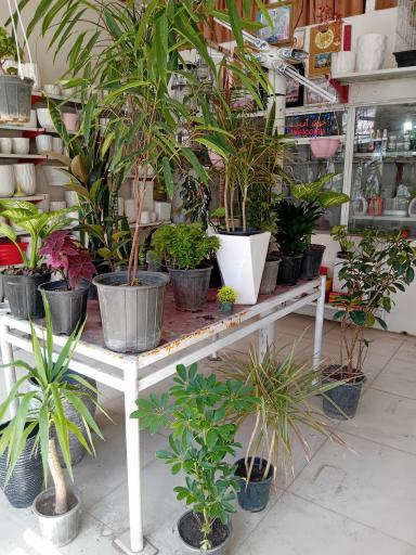 عکس گل و گلدان و حصیر پورهنگ