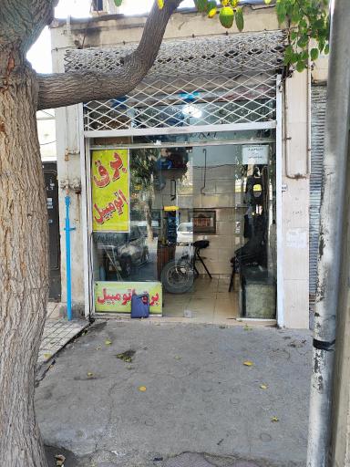 عکس برق اتومبیل گل