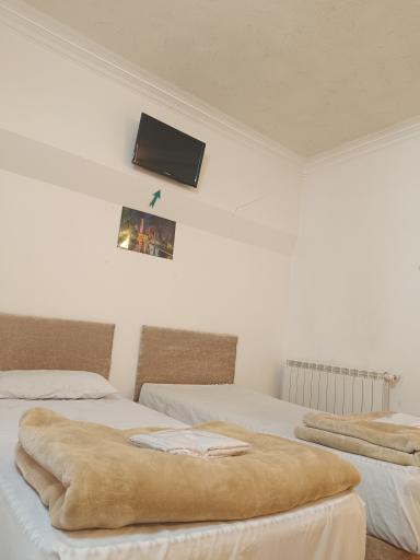 عکس هتل جنگل