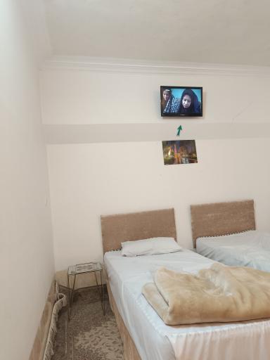 عکس هتل جنگل