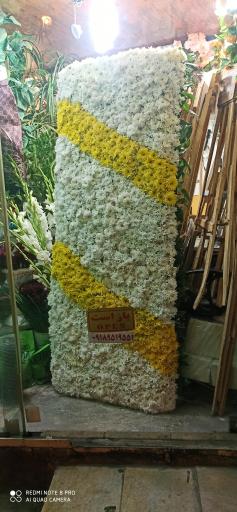 عکس قصر گل ساحل