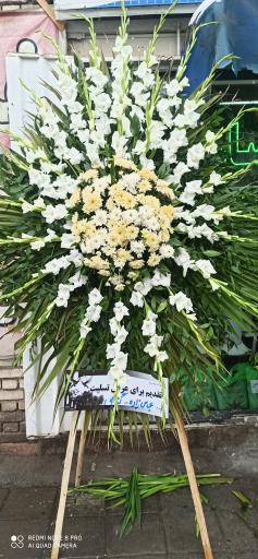 عکس قصر گل ساحل