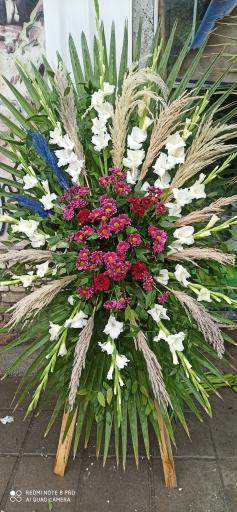 عکس قصر گل ساحل