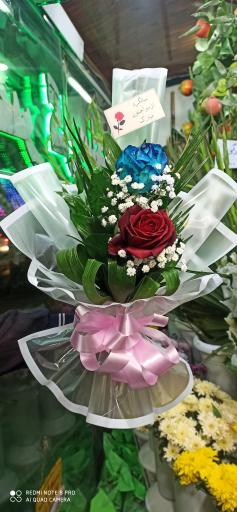 عکس قصر گل ساحل