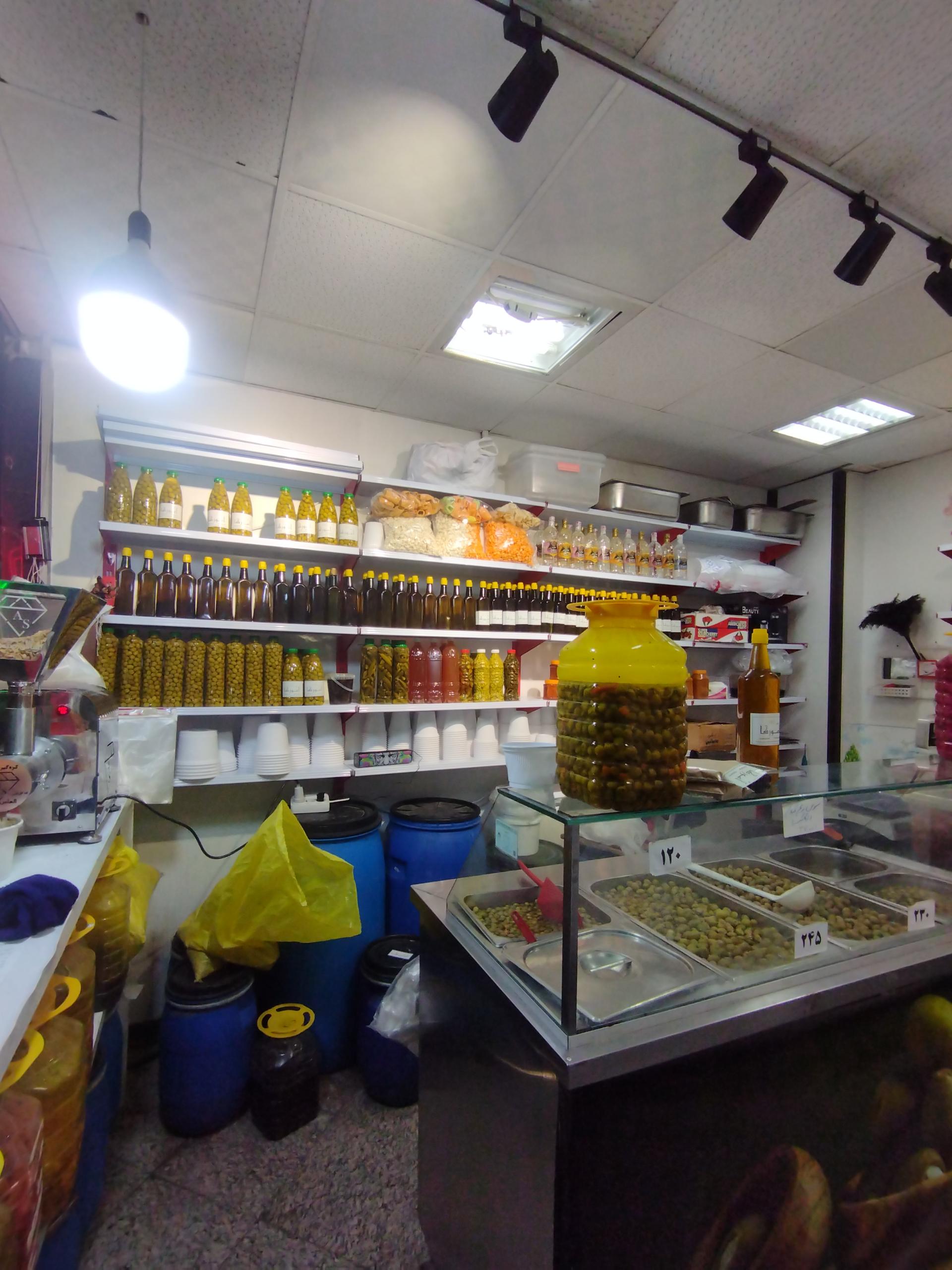 عکس زیتون آمورکا