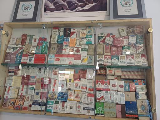 عکس هتل جنگل