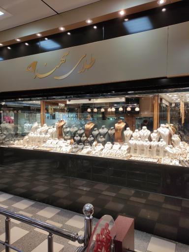 عکس طلای سهند (استار)