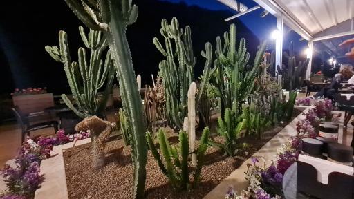 عکس هتل رسپینا لاهیجان