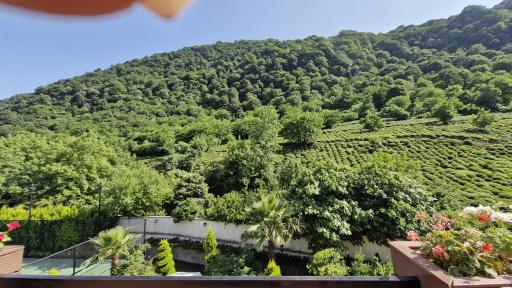 عکس هتل رسپینا لاهیجان