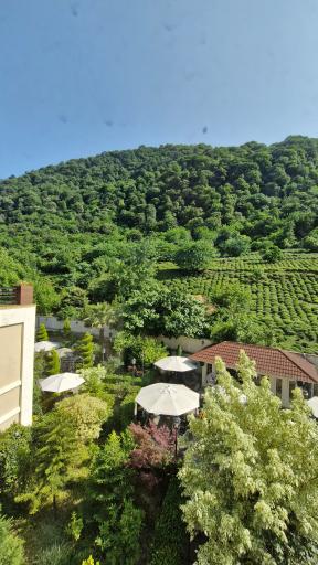 عکس هتل رسپینا لاهیجان